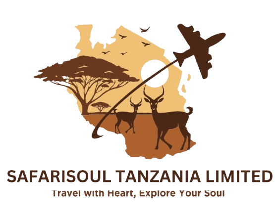 Safari Soul Tanzania-Your Journey, Our Expertise